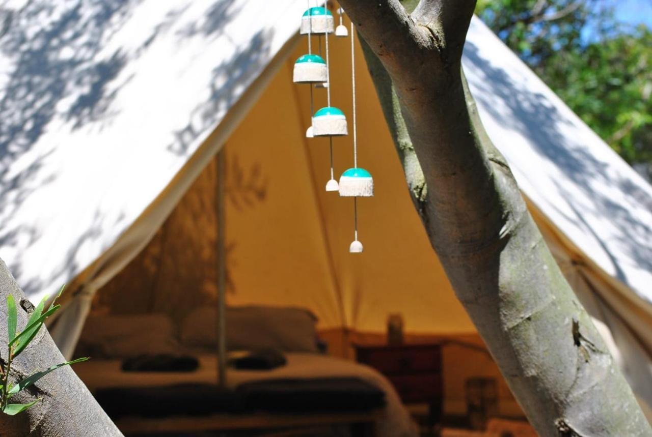 La Brujula Hostel 拉帕洛马 外观 照片
